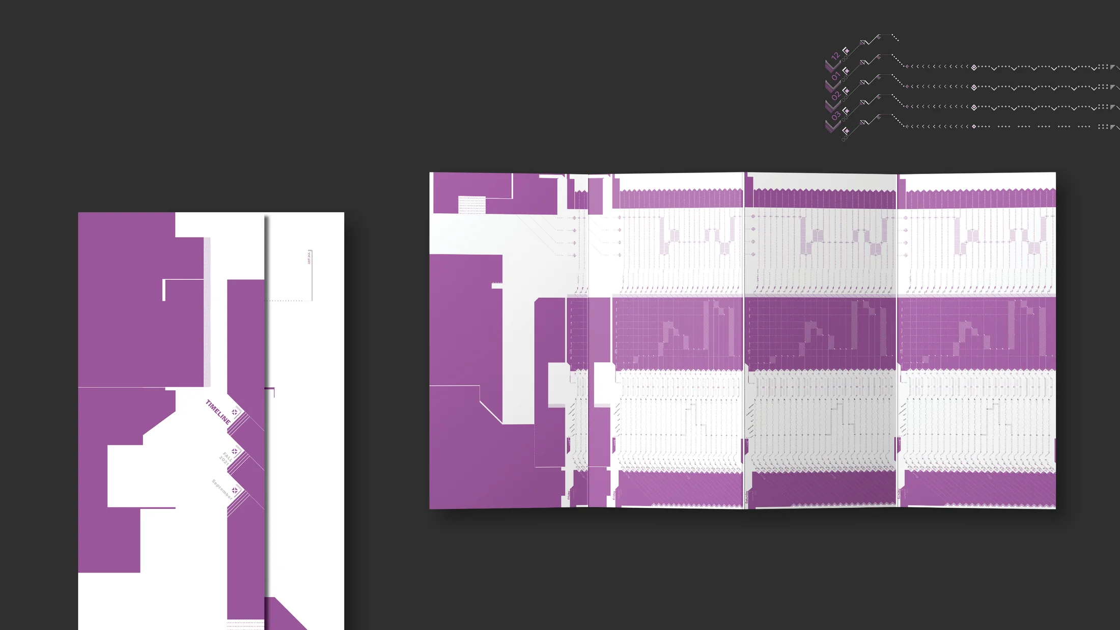 Purple chart and information-design study.